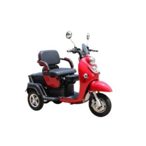 Pushpak 1000