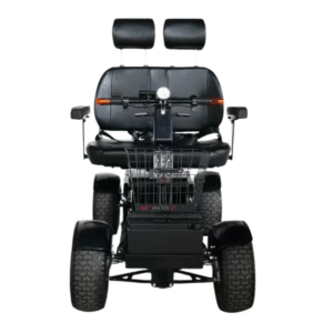 Cheeta Ninja 2 Seater Front View