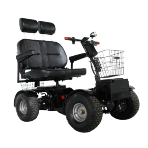 Cheeta Ninja 2 Seater Side View