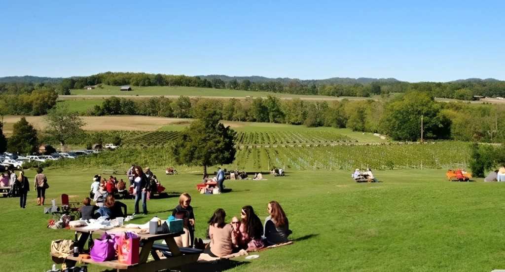 Scenic Tennessee outdoors with rolling green hills