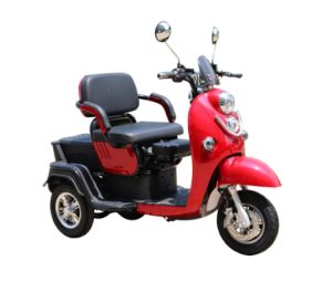 Pushpak 1000 Dual Passenger Fast Mobility